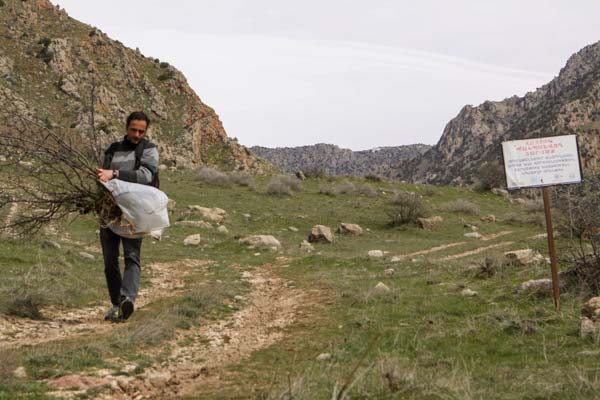 artist carrying the plant