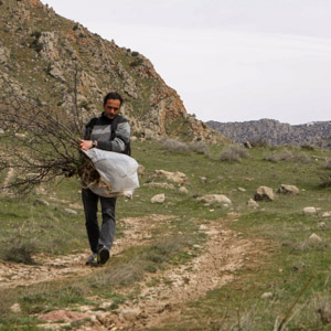 artist carrying the plant